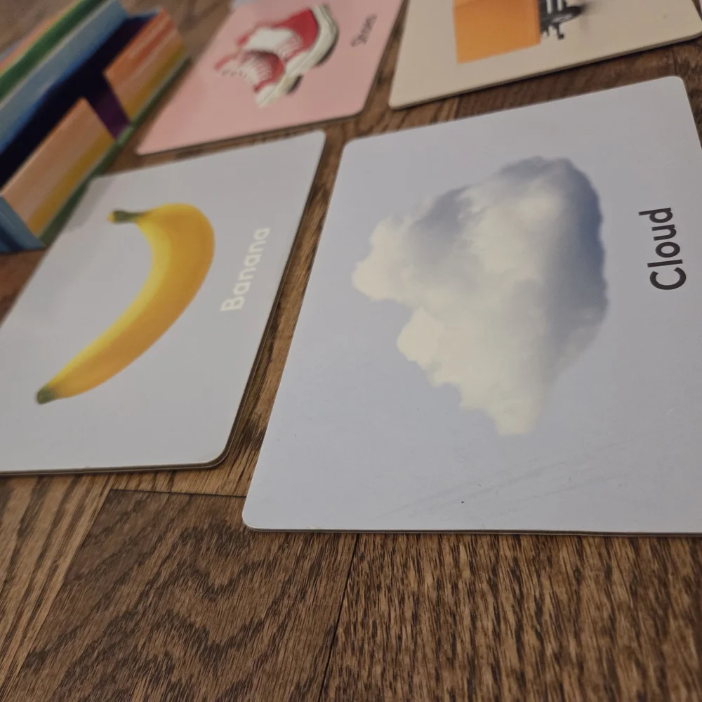Lovevery-The Inspector Play Kit (Months 7-8)- 'Things I See' Texture Cards